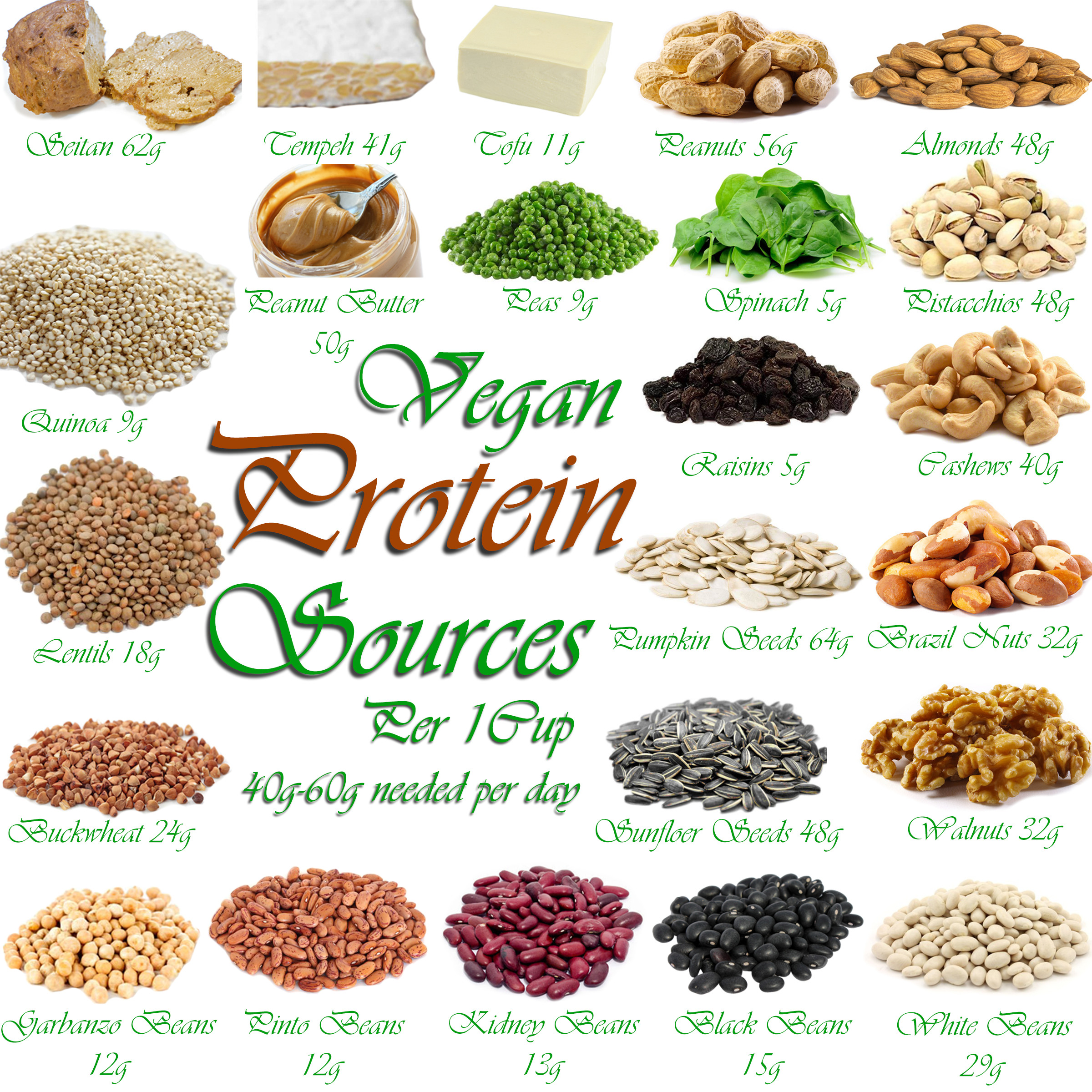 AterImber.com - The Veg Life - Vegan Tips - Where Do Vegans Get Their Protien Collage - vegan food, vegan nutrients, vegan facts